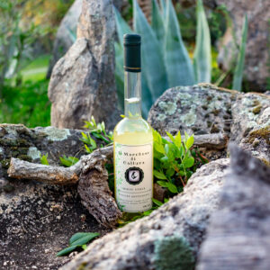 Mirto Verde